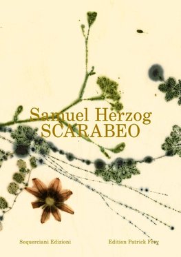 Scarabeo (IT)