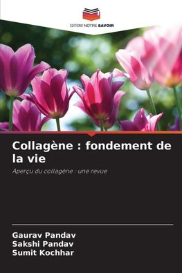 Collagène : fondement de la vie