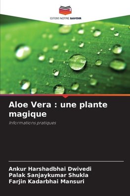 Aloe Vera : une plante magique