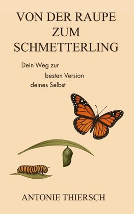 Von der Raupe zum Schmetterling