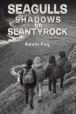 Seagulls Shadows on Slantyrock