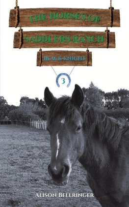 The Horses of Saddlers Ranch
