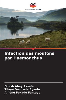 Infection des moutons par Haemonchus