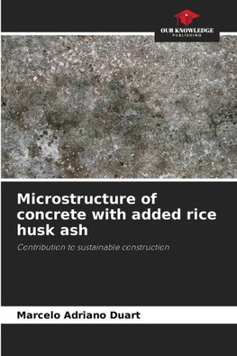 Microstructure of concrete with added rice husk ash
