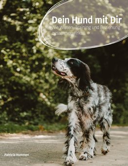 Dein Hund mit Dir