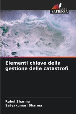 Elementi chiave della gestione delle catastrofi