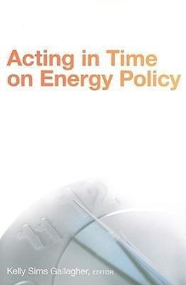 Acting in Time on Energy Policy