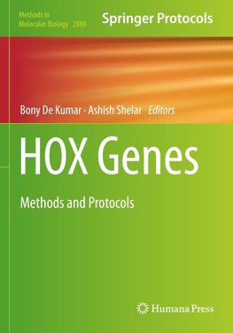 HOX Genes