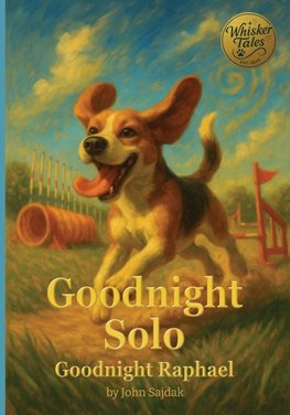 Goodnight Solo / Goodnight Raphael