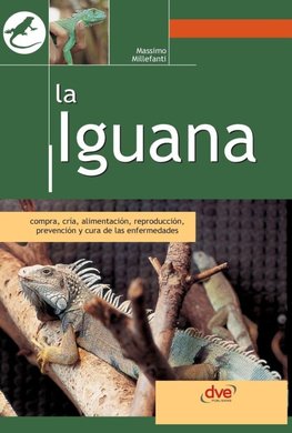 La iguana