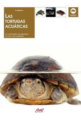 Las tortugas acuáticas