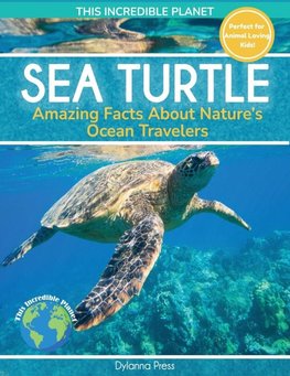 Sea Turtle