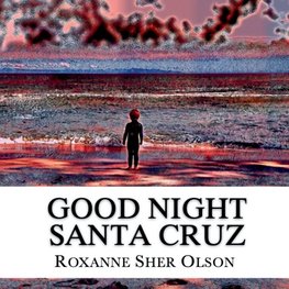 Good Night Santa Cruz
