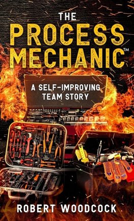 The Process Mechanic(TM)
