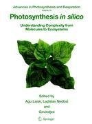 Photosynthesis in silico
