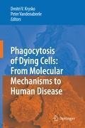 Phagocytosis of Dying Cells