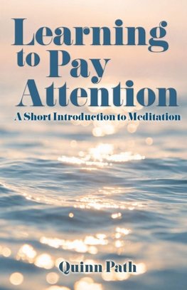 Learning to Pay Attention
