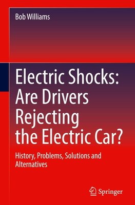 Electric Shocks: Are Drivers Rejecting the Electric Car?