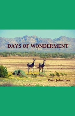 Days of Wonderment