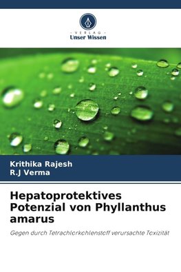 Hepatoprotektives Potenzial von Phyllanthus amarus