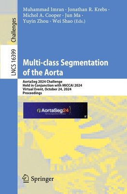 Multi-class Segmentation of the Aorta