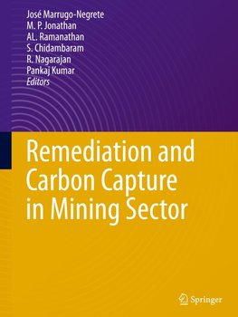 Remediation and Carbon Capture in Mining Sector