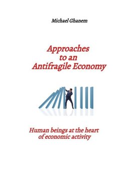 Approaches to an  Antifragile Economy