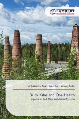 Brick Kilns and One Health