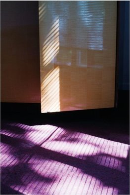 STATES OF UNCERTAIN DOMESTICITIES