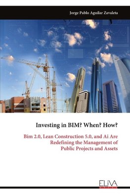 Investing in BIM? When? How?