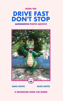 Drive Fast Don't Stop - Book 10
