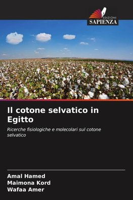Il cotone selvatico in Egitto