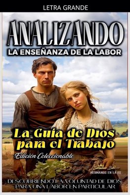 Analizando la Enseñanza de la Labor