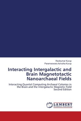 Interacting Intergalactic and Brain Magnetotactic Nanoarchaeal Fields