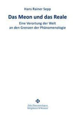 Das Meon und das Reale