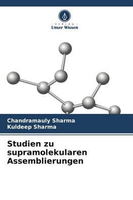 Studien zu supramolekularen Assemblierungen