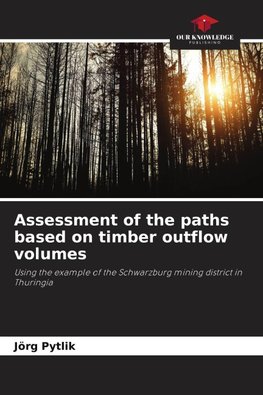 Assessment of the paths based on timber outflow volumes
