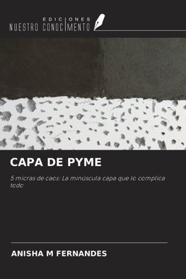 CAPA DE PYME