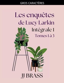 Les enquêtes de Lucy Larkin  Intégrale 1