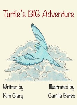 Turtle's Big Adventure