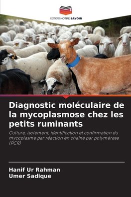 Diagnostic moléculaire de la mycoplasmose chez les petits ruminants
