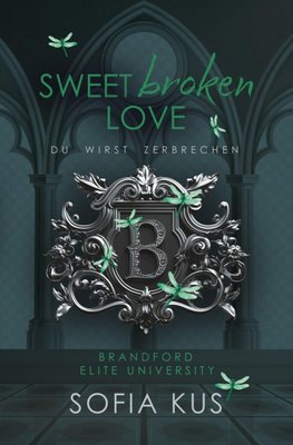Sweet broken Love