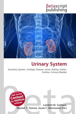 Urinary System