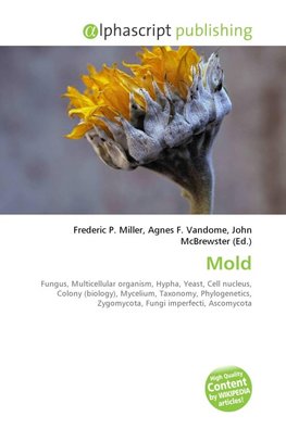 Mold