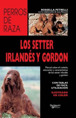 Los setter irlandés y gordon