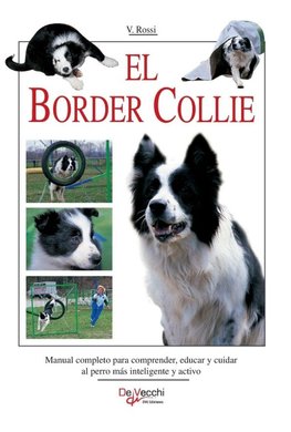 El border collie