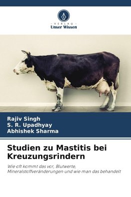 Studien zu Mastitis bei Kreuzungsrindern