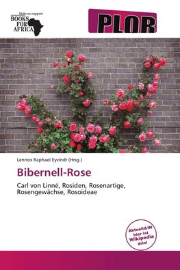 Bibernell-Rose