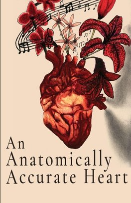 An Anatomically Accurate Heart