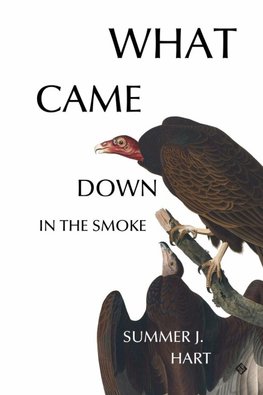 WHAT CAME DOWN IN THE SMOKE